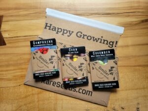 20221201 094039 scaled 1